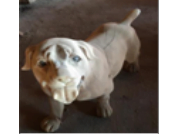 Wooden Walking Dog
