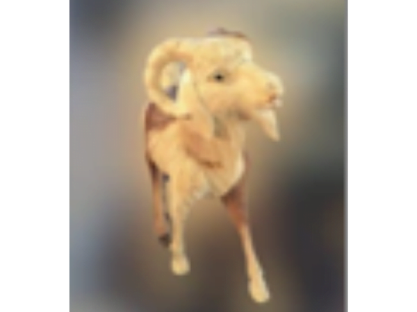 Wooden Walking Goat